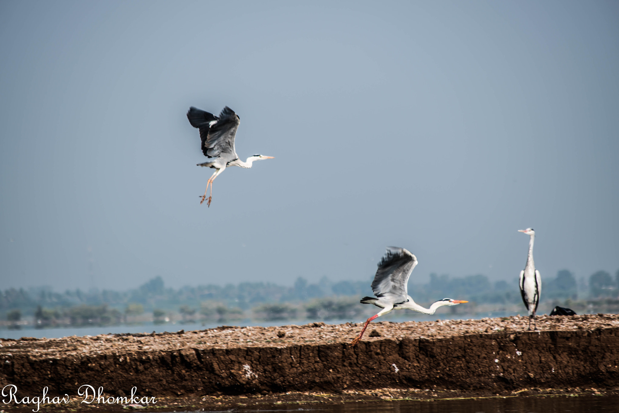 Nikon D5500 sample photo. Take off photography