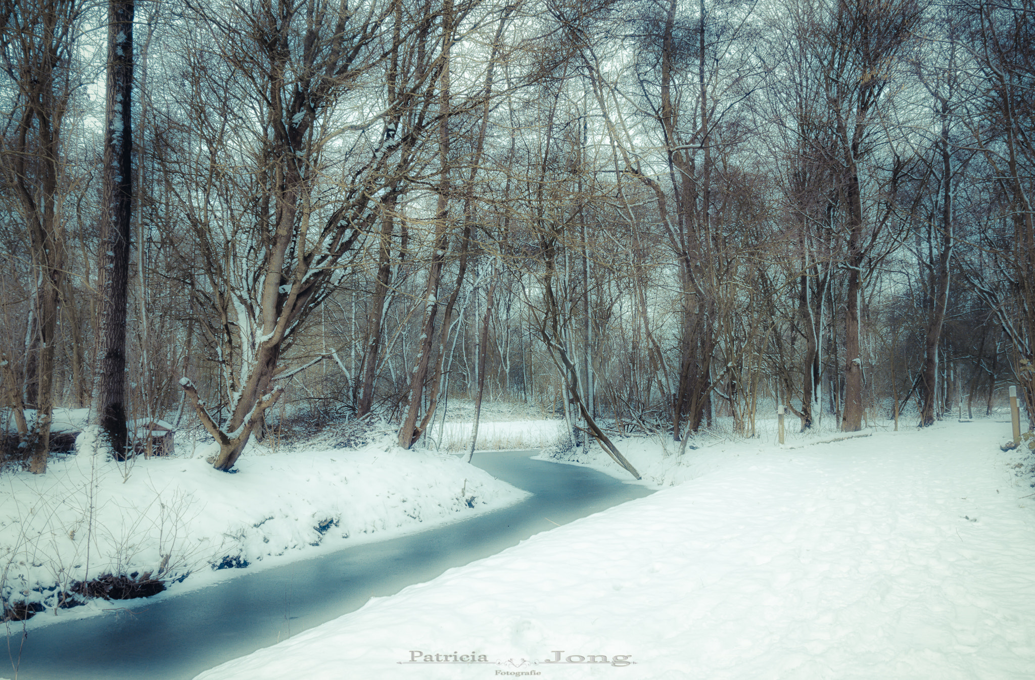 Canon EOS 70D sample photo. Winter flow photography