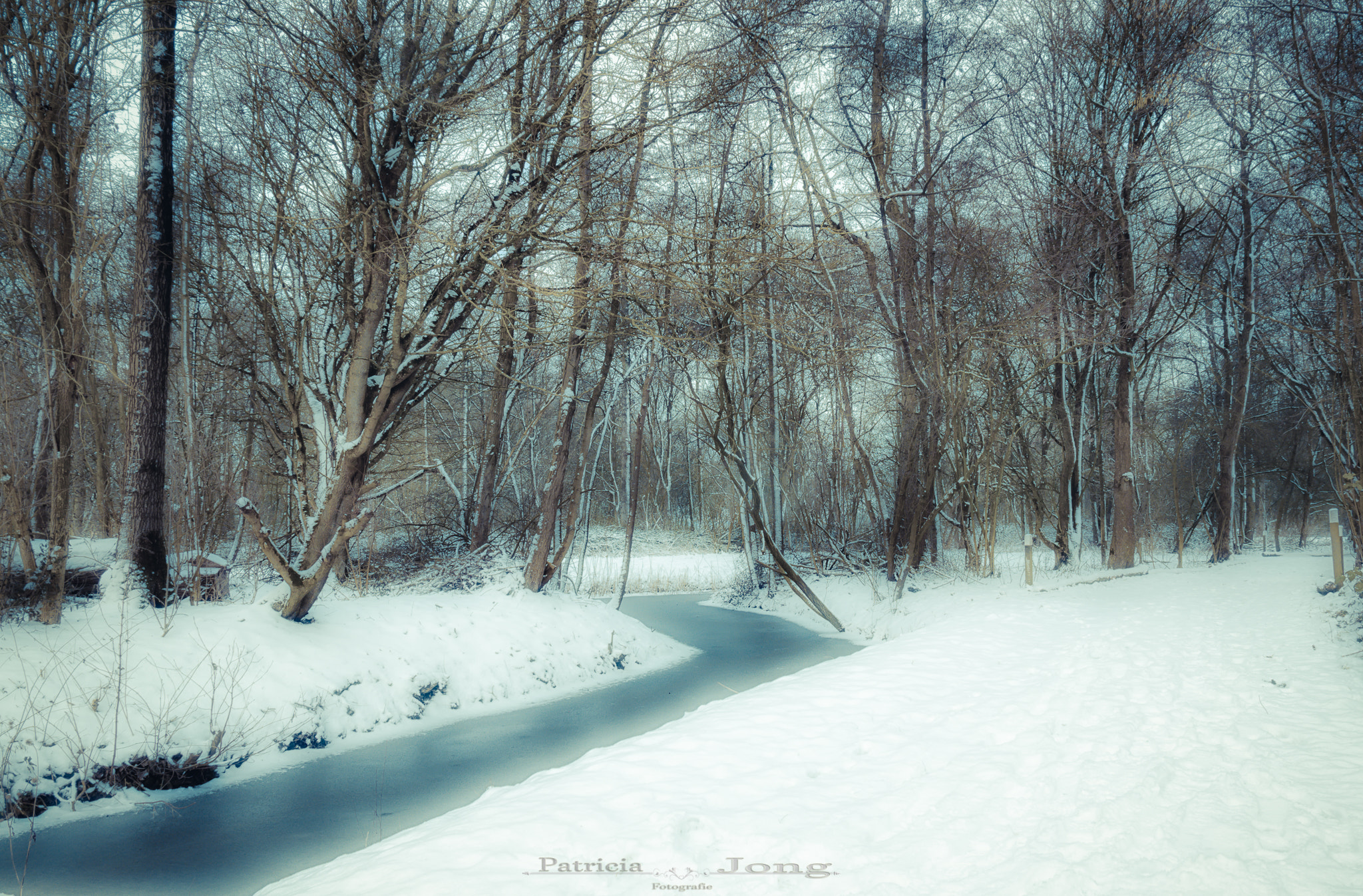 Sigma 17-70mm F2.8-4 DC Macro OS HSM sample photo. Winter flow photography