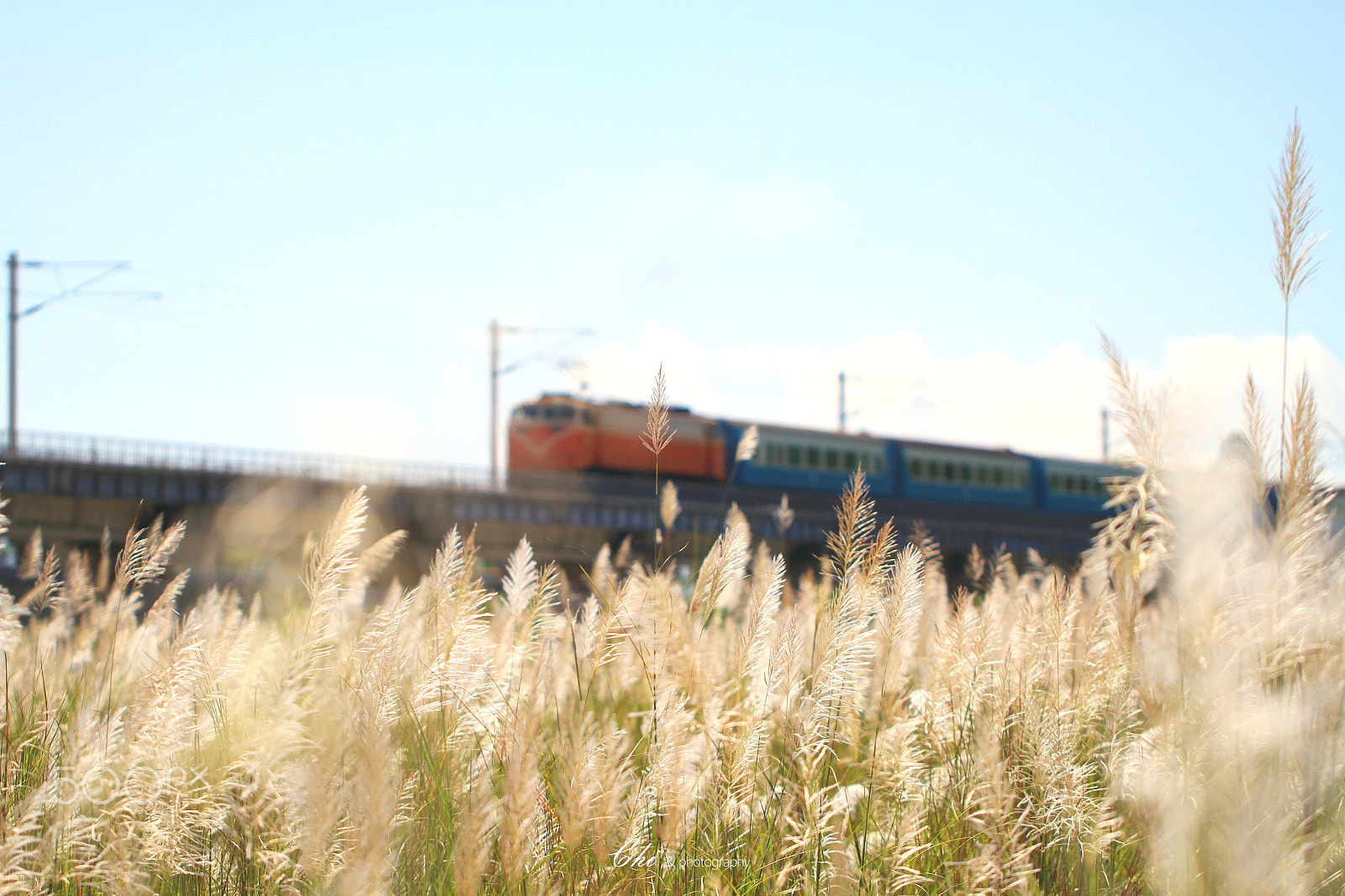 Canon EF 100mm F2.8L Macro IS USM sample photo. Shine photography