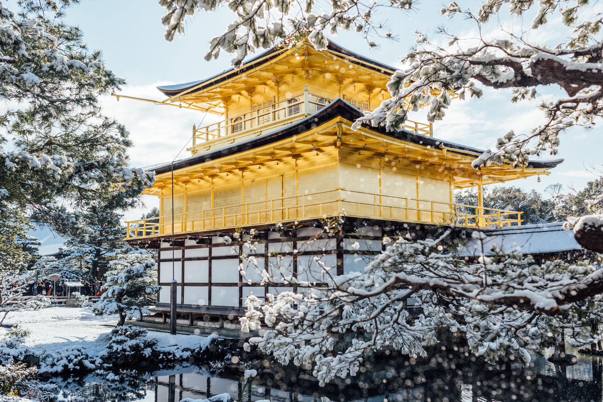 Nikon AF Nikkor 35mm F2D sample photo. Kinkaku-ji, japan photography