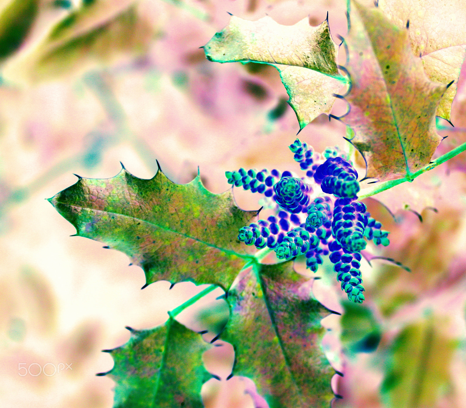 Canon EOS 40D sample photo. Nature photography