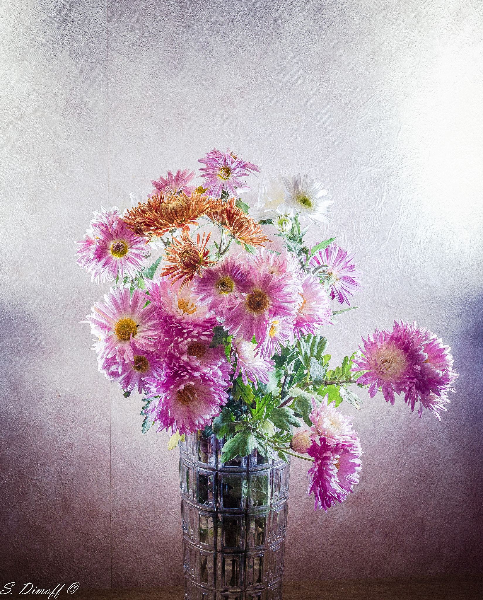 Sony SLT-A58 + Sony DT 50mm F1.8 SAM sample photo. Bouquet of chrysanthemum photography