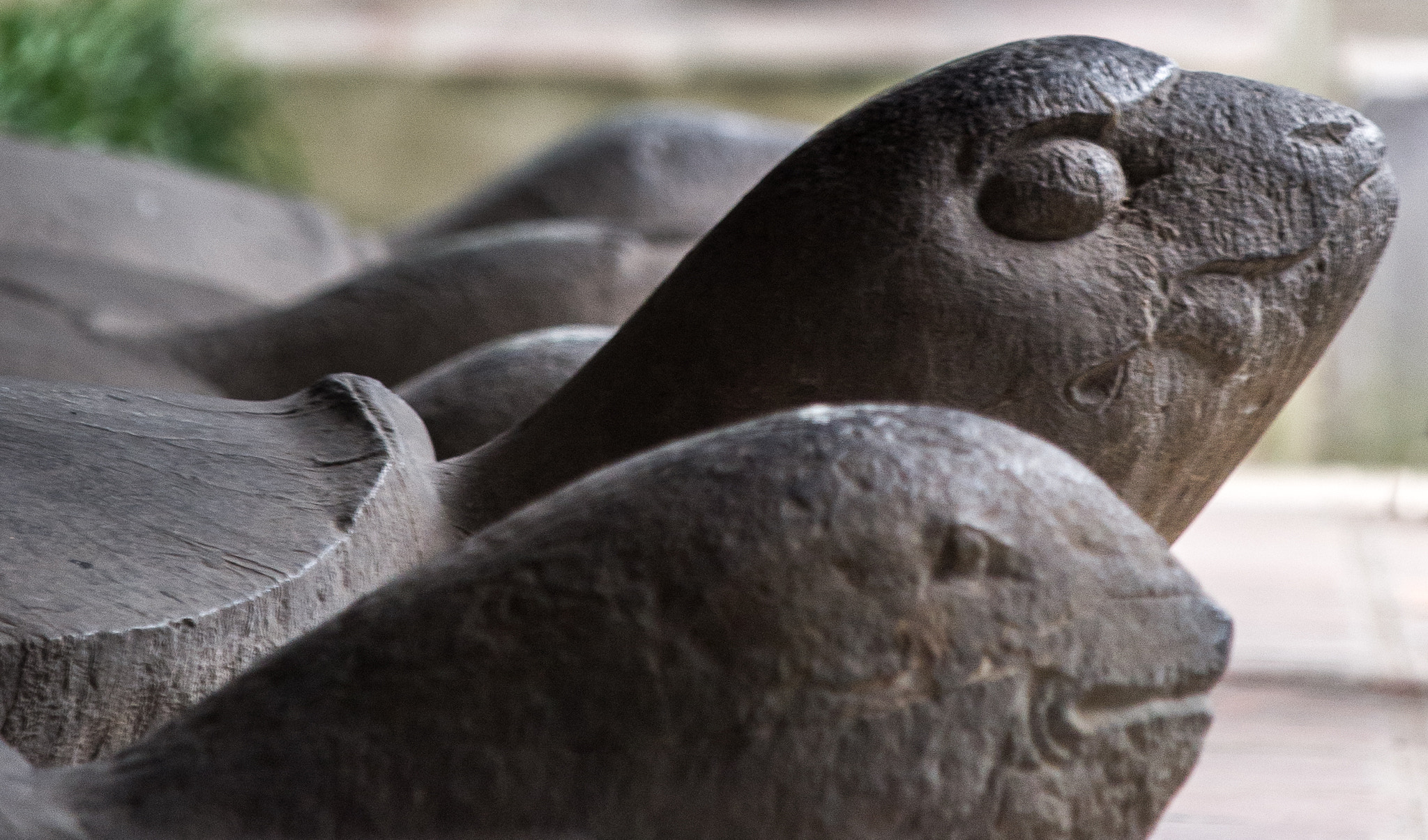Olympus E-5 sample photo. Wise turtles photography