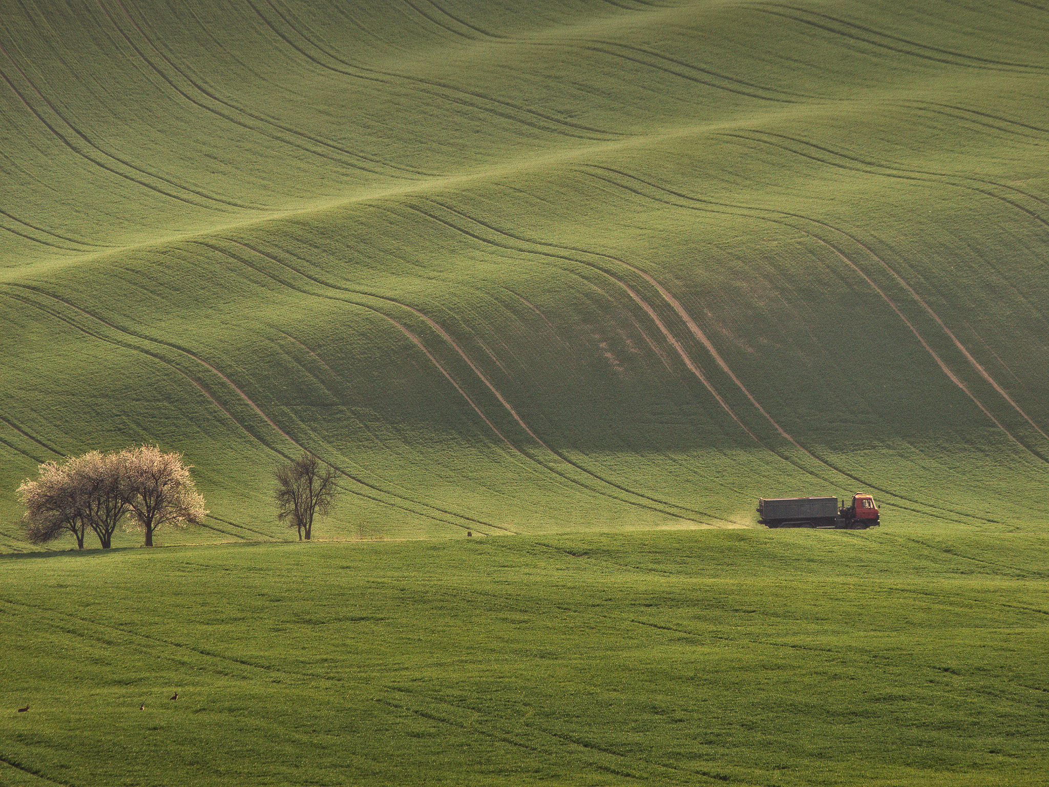 Pentax K-5 II + HD Pentax DA 55-300mm F4.0-5.8 ED WR sample photo. Observers photography