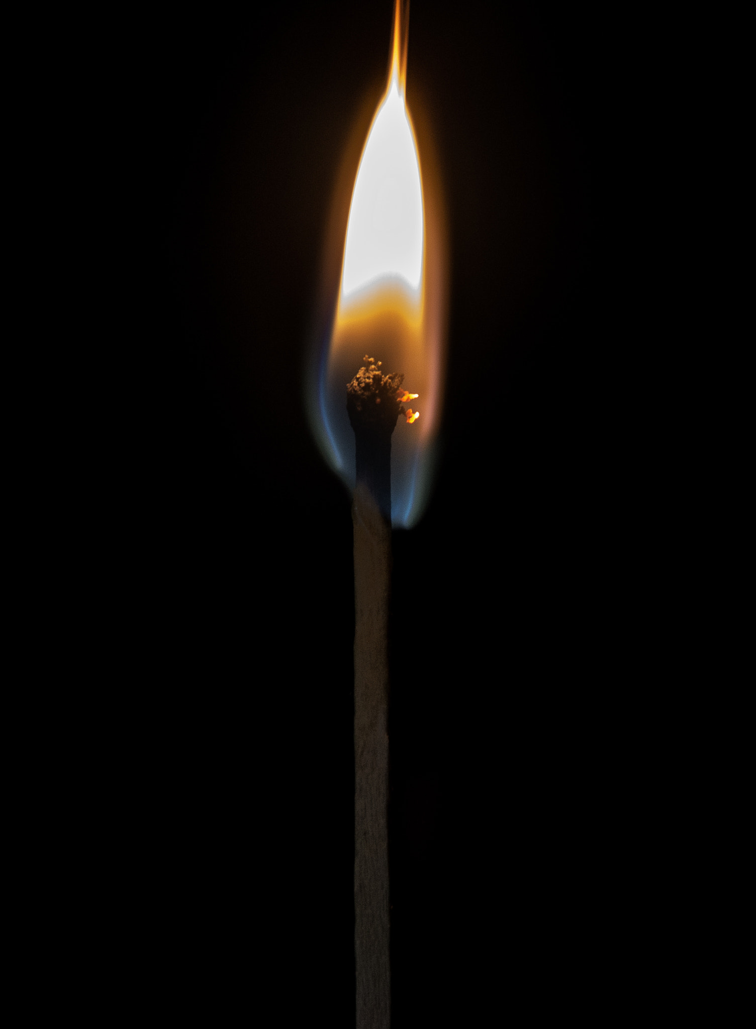 Sigma 18-200mm f/3.5-6.3 DC OS sample photo. Project 52-43: matches (alternative) photography