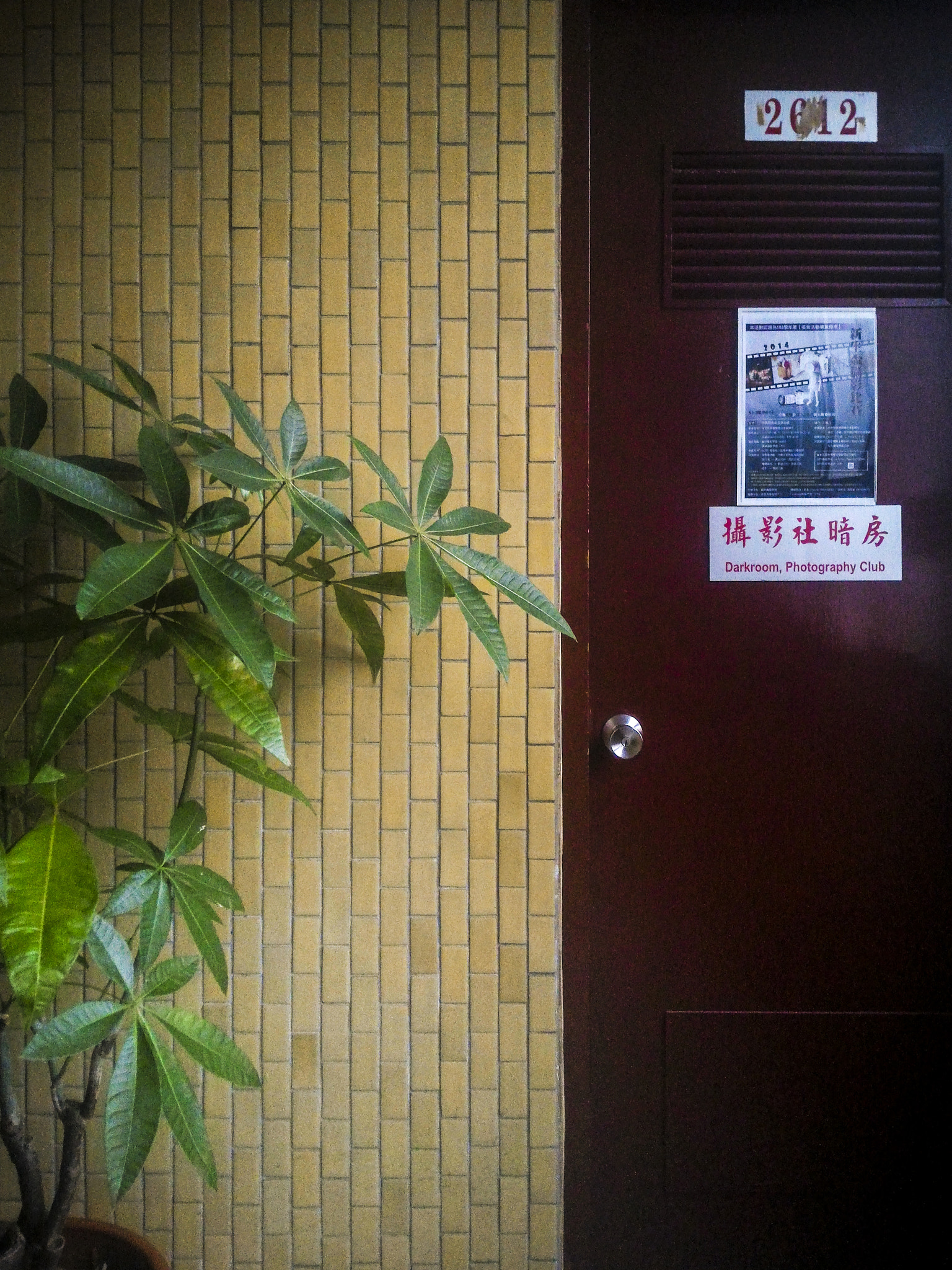 ASUS Z008D sample photo. Untitled photography
