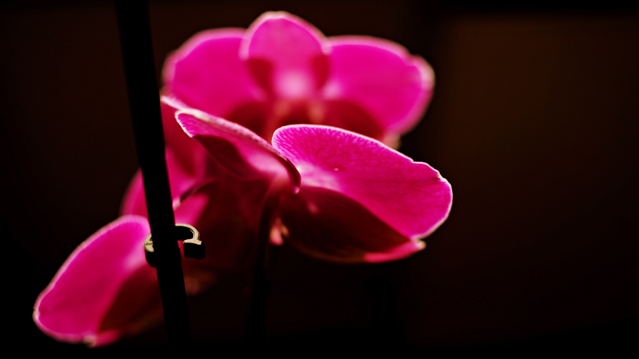 Nikon D610 + Nikon AF Nikkor 35mm F2D sample photo. A photography