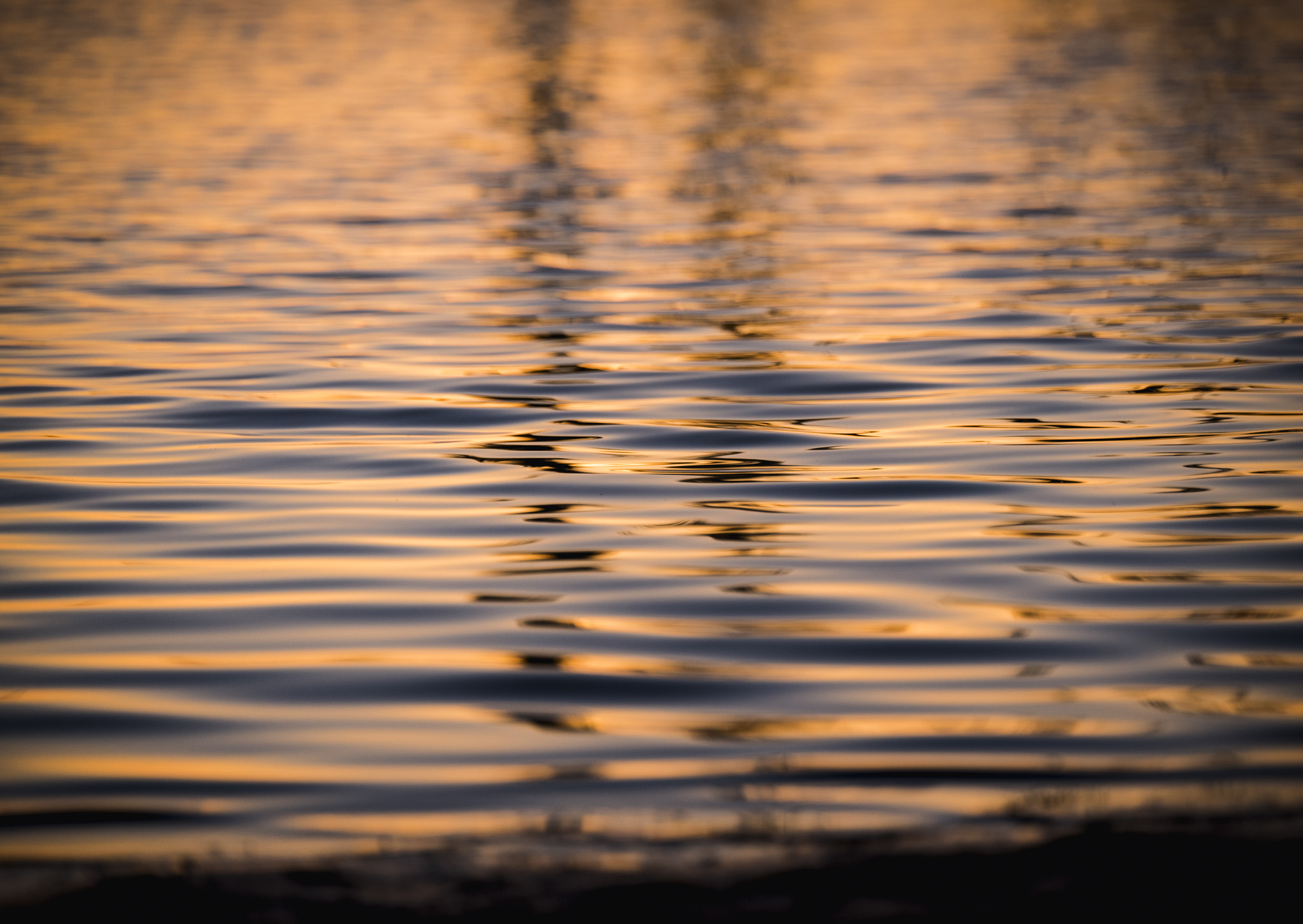Tamron SP 70-200mm F2.8 Di VC USD sample photo. High gloss photography