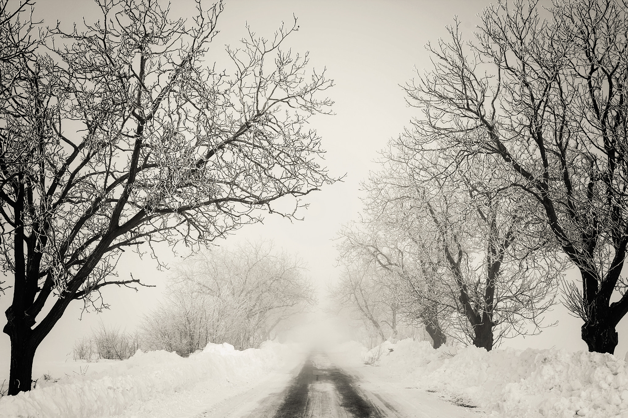 Canon EF-S 24mm F2.8 STM sample photo. Winter mood photography