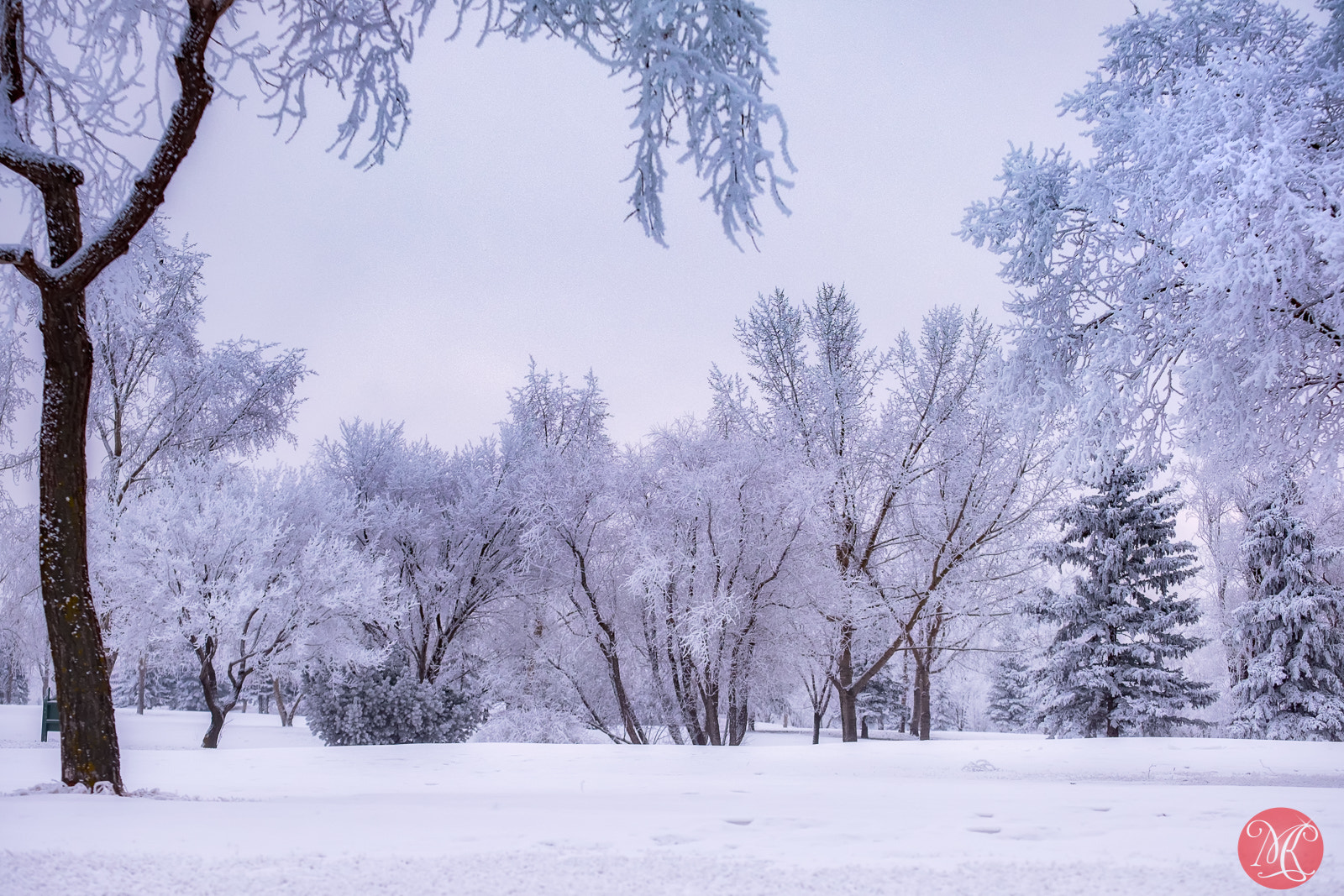 Fujifilm X-E2 + Fujifilm XF 55-200mm F3.5-4.8 R LM OIS sample photo. Winter wonders photography