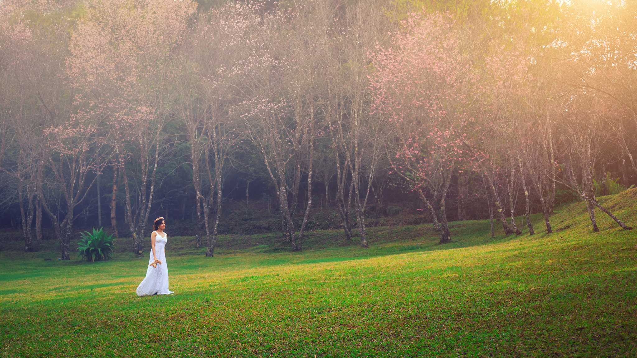 Canon EOS 6D + Sigma 50mm f/2.8 EX sample photo. Angel photography