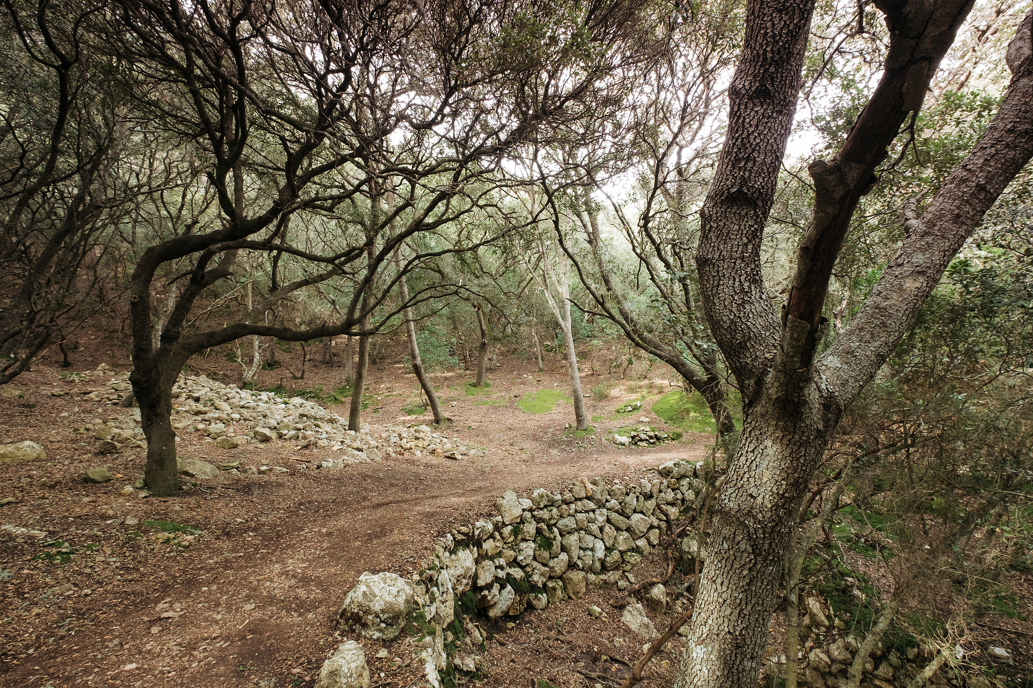 Fujifilm X-E2 + Fujifilm XF 10-24mm F4 R OIS sample photo. Dali's dream photography