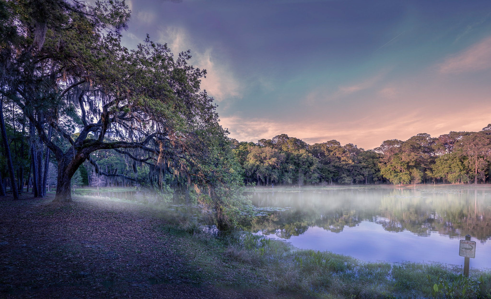 Sony E 20mm F2.8 sample photo. Chesnut park tree photography