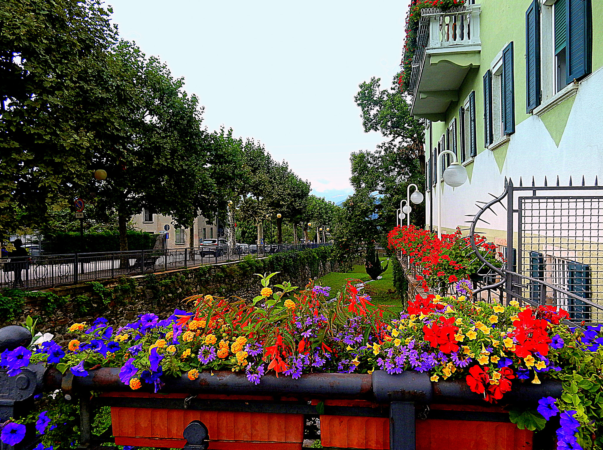 Nikon Coolpix S9700 sample photo. Paesaggio floreale a levico terme. photography