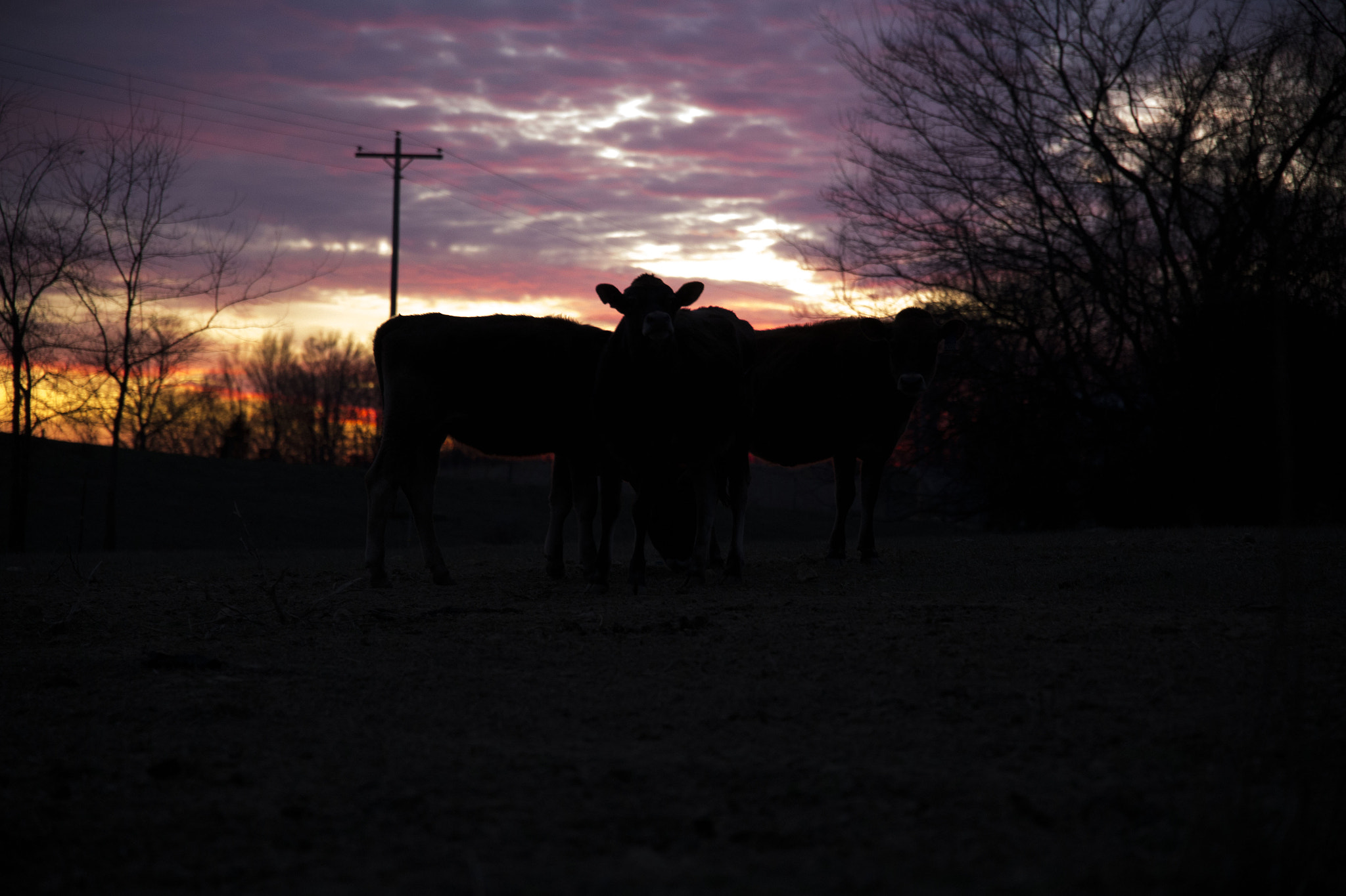 Canon EOS 6D + Sigma 24-105mm f/4 DG OS HSM | A sample photo. Emily goins portfolio photography