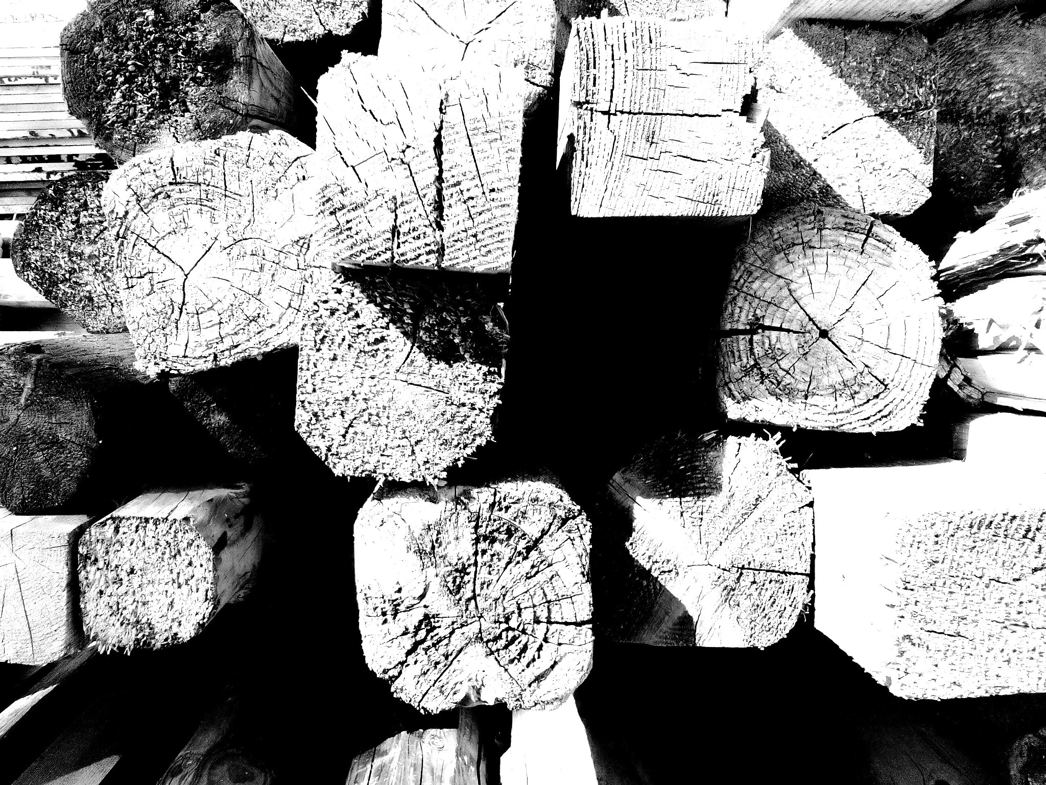 LG BELLO II sample photo. Дрова/firewood/legna da ardere 2 photography