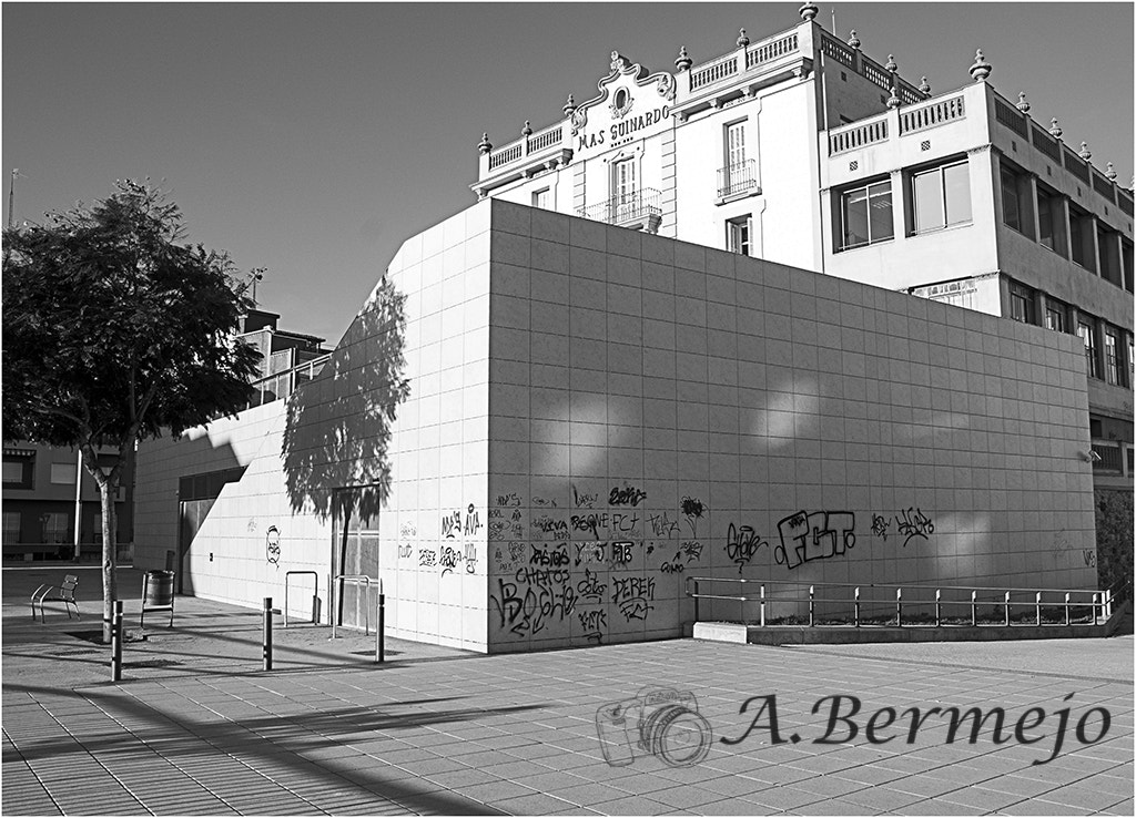 Nikon D300S sample photo. Mas guinardo photography