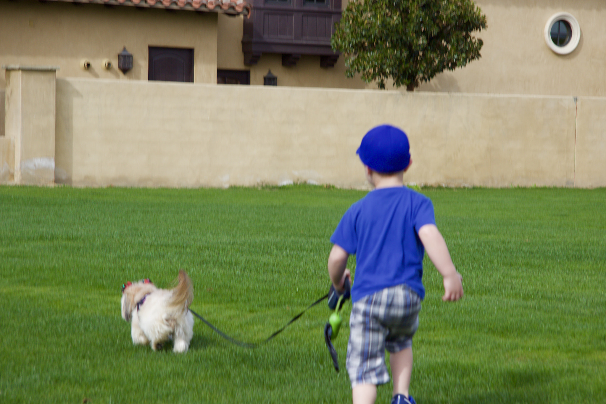 Canon EF-S 17-85mm F4-5.6 IS USM sample photo. My grandson with our rescue dog visiting palm desert. he loves walking her. photography