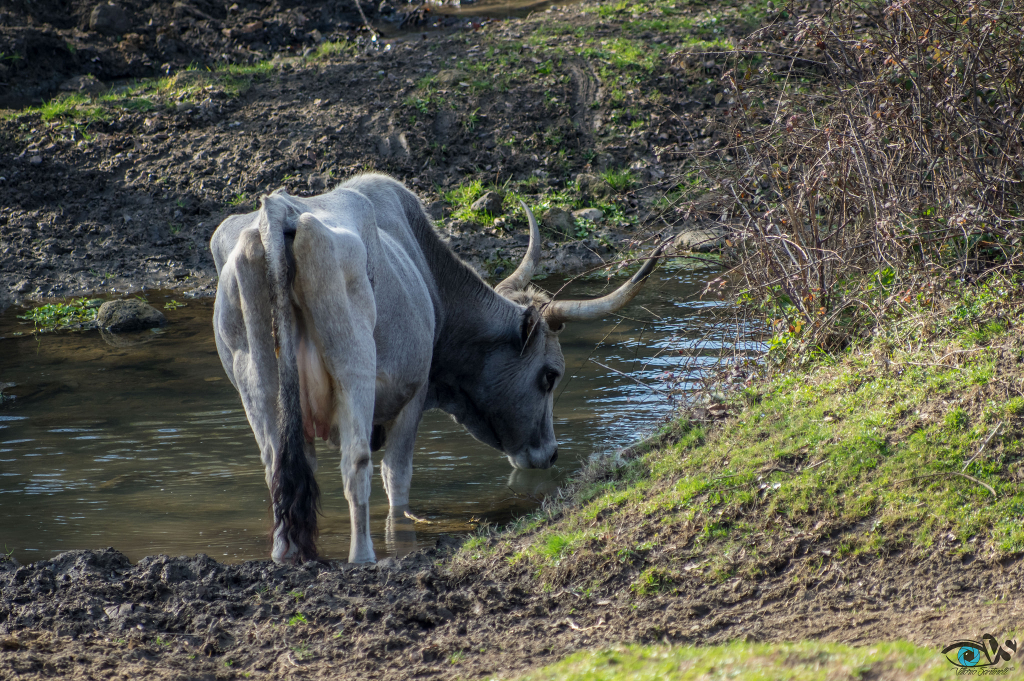 Pentax K-3 sample photo. Parco di veio (rome) photography