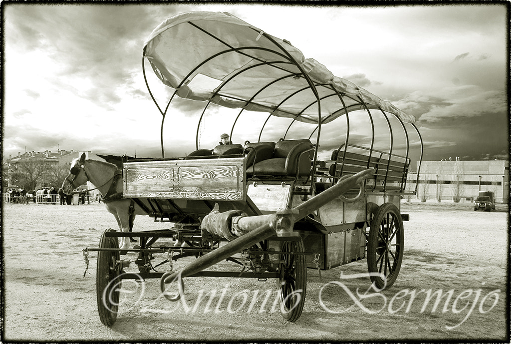 Sigma 18-200mm F3.5-6.3 DC OS HSM sample photo. Carruage photography