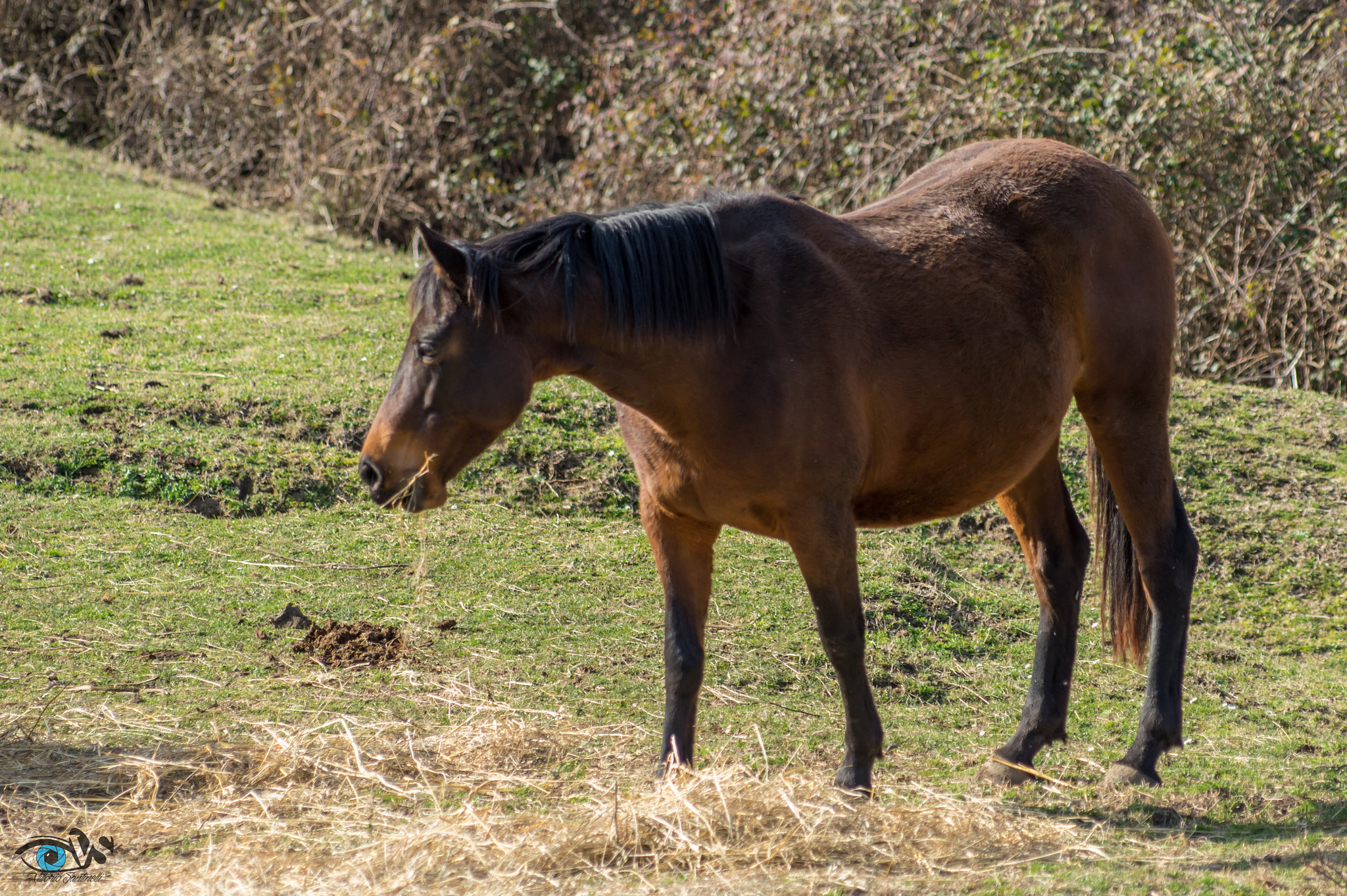 Pentax K-3 sample photo. Parco di veio (rome) photography