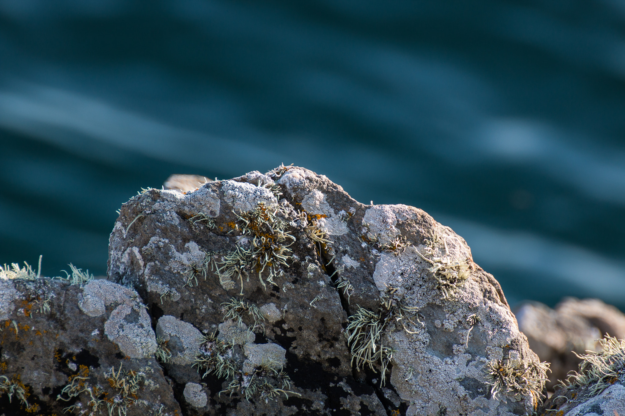 Tamron SP 35mm F1.8 Di VC USD sample photo. Rock on the coast photography