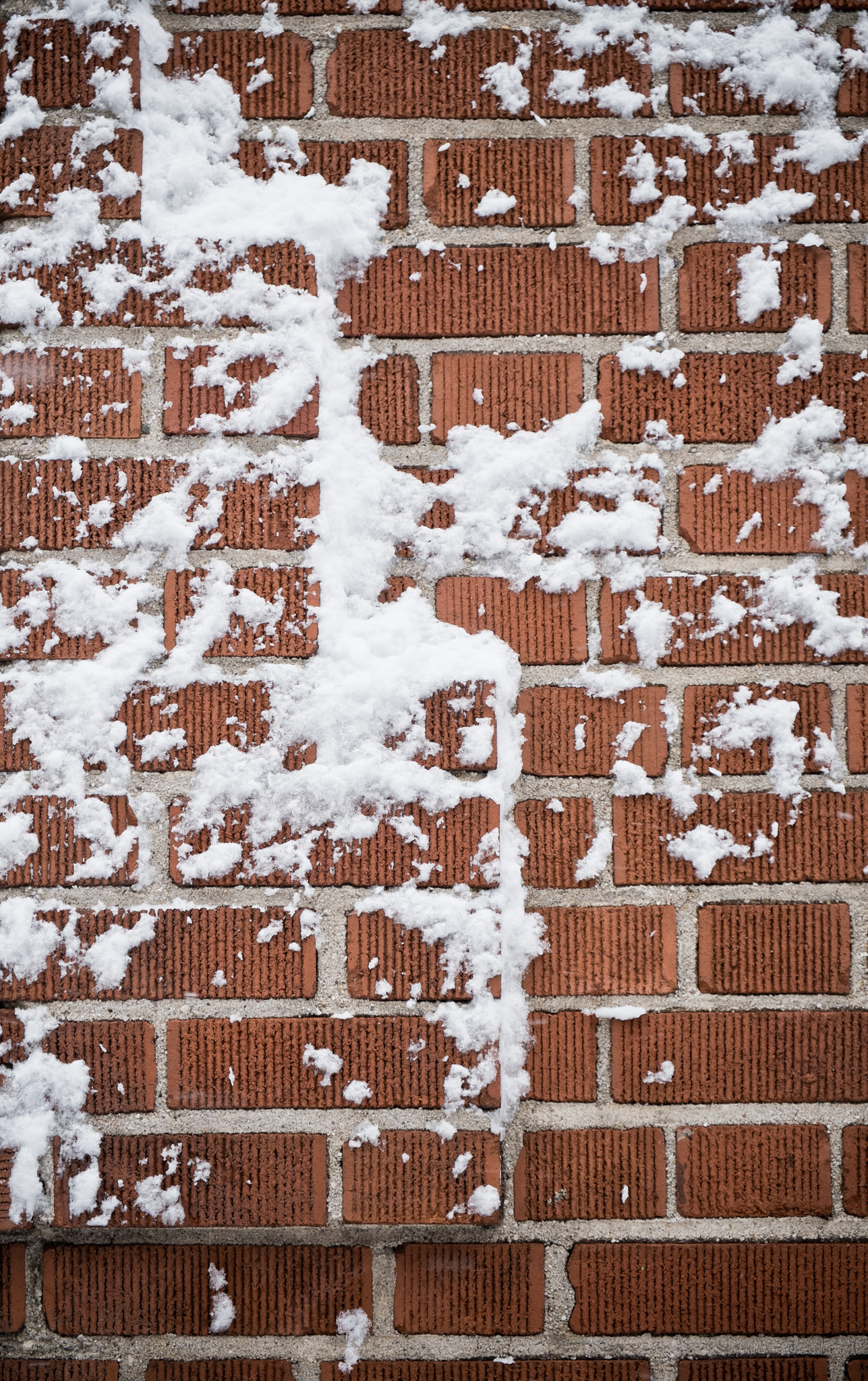 Fujifilm X-M1 sample photo. Snowwall photography