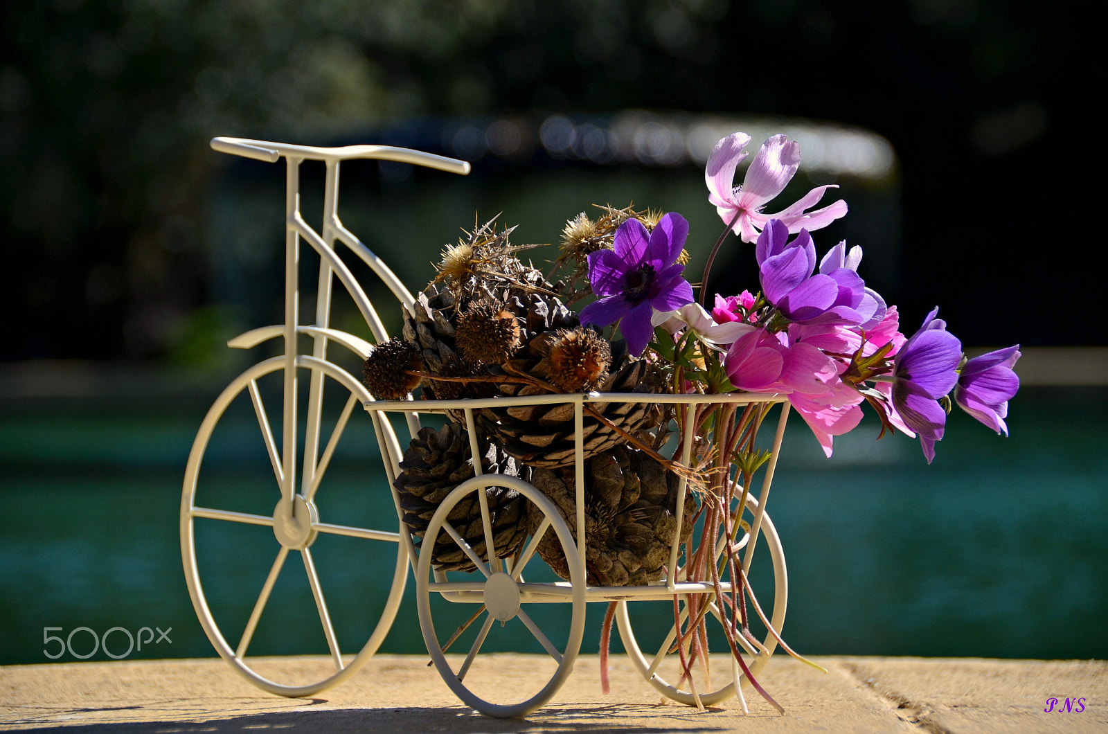 Sigma 18-200mm F3.5-6.3 II DC OS HSM sample photo. Bicycle photography