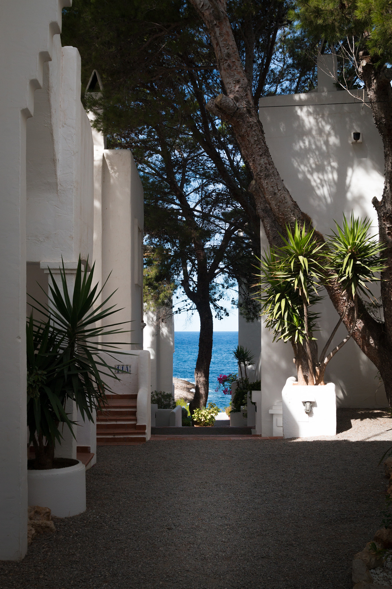 Sigma 18-50mm f/2.8 Macro sample photo. I wish i lived here.... photography