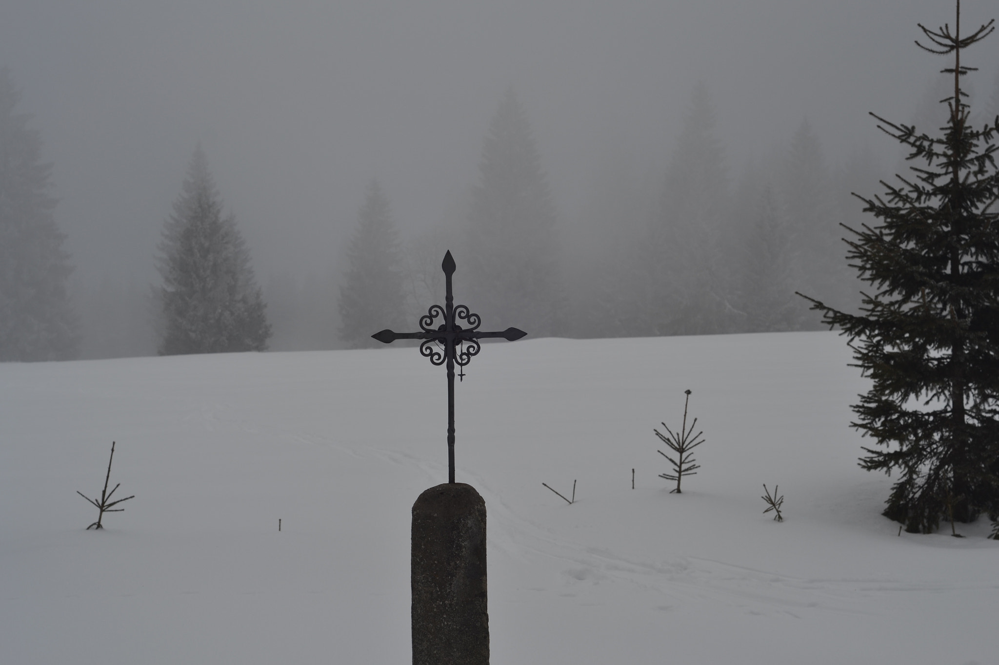 Nikon D3100 + Nikon AF Nikkor 50mm F1.8D sample photo. Cross country skiing in Šumava photography
