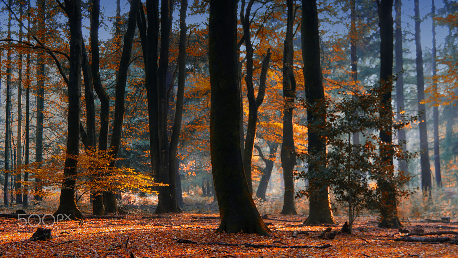 NX 18-200mm F3.5-6.3 sample photo. Frozen memorie of a fairytale photography