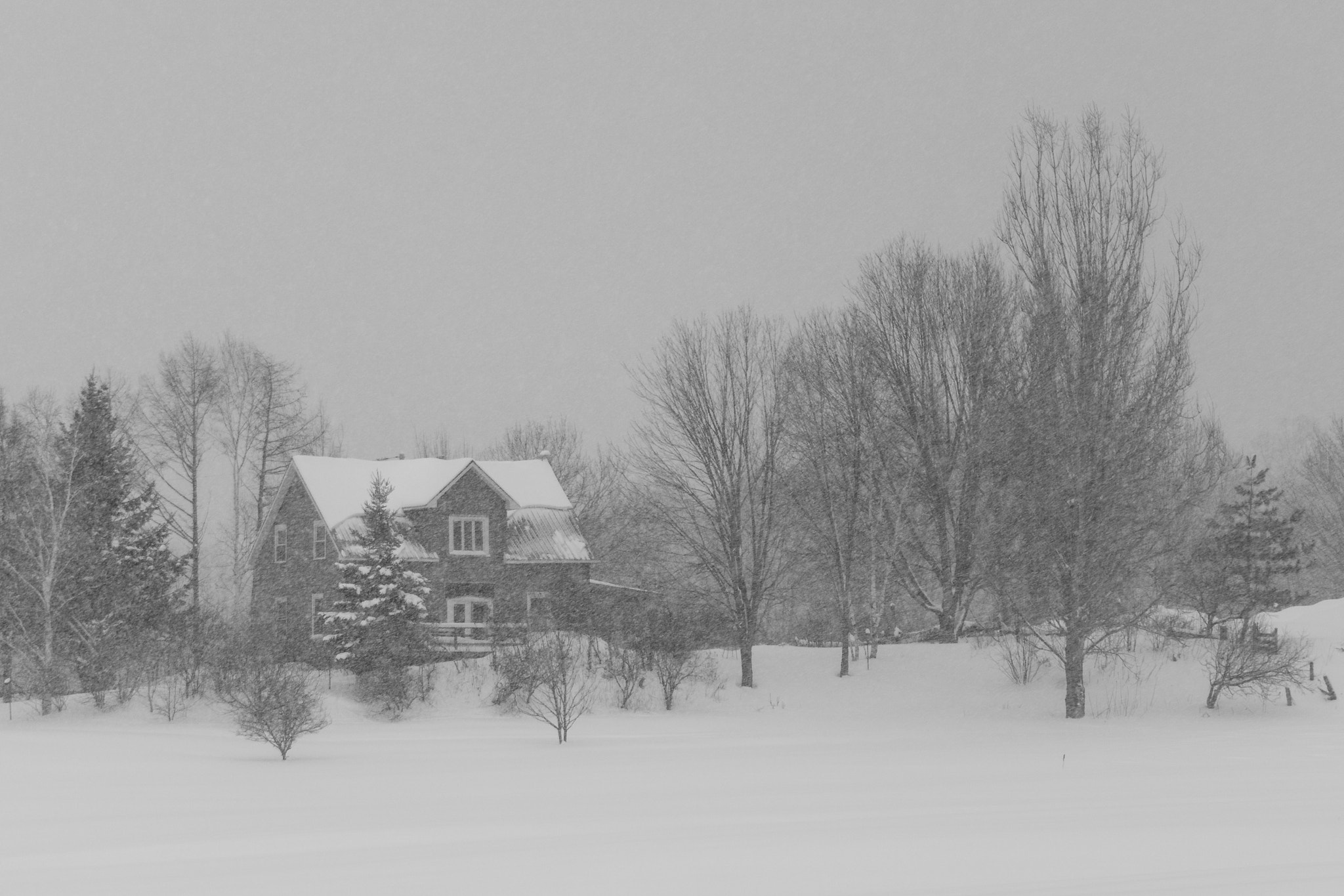 Sony Alpha NEX-7 sample photo. Stormy day in the country photography