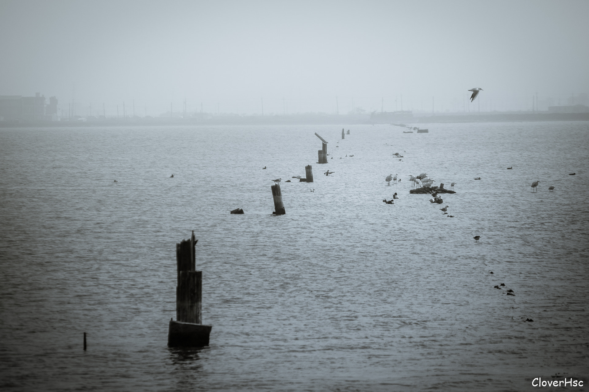Olympus OM-D E-M1 sample photo. Dreaming photography