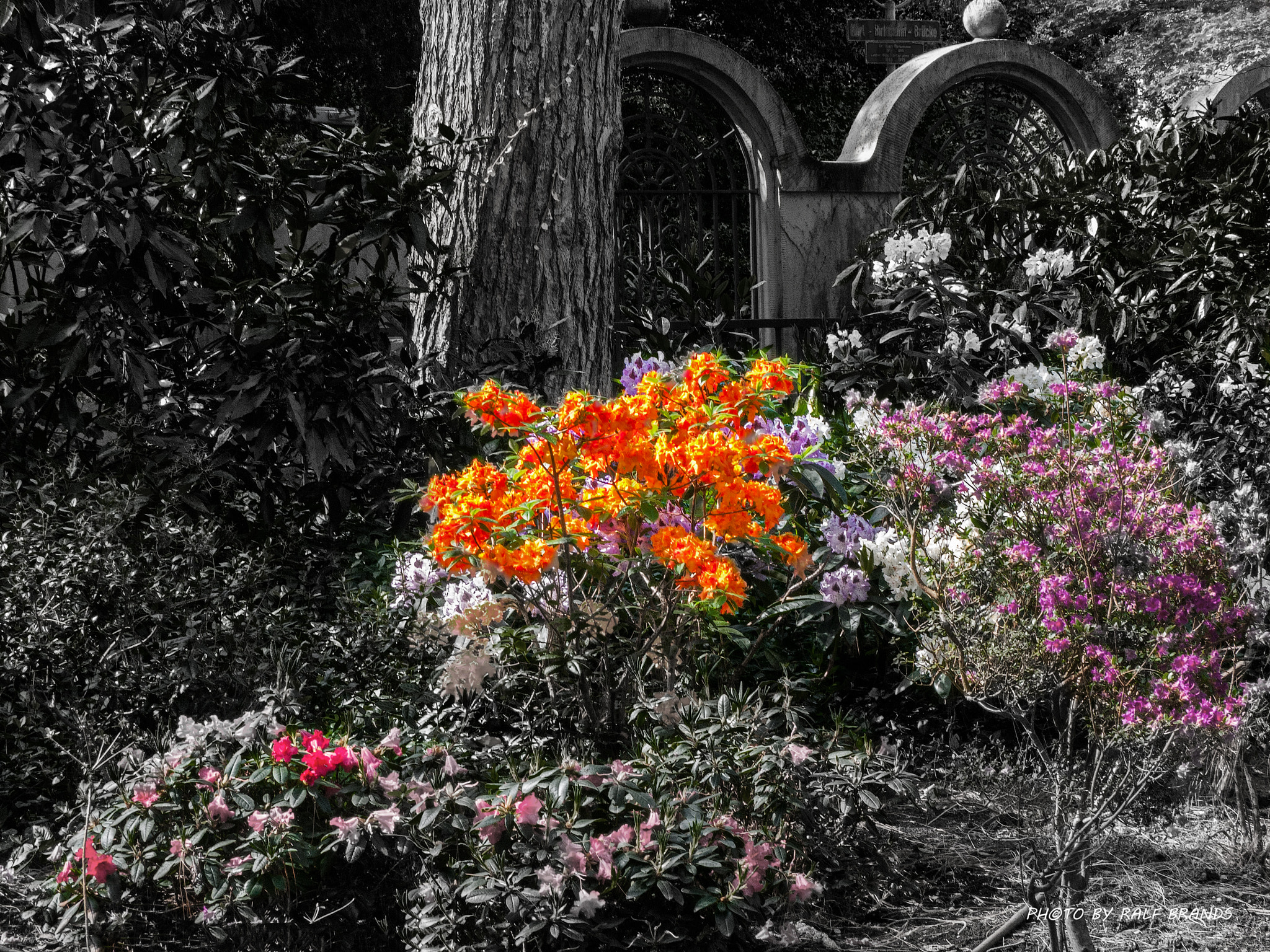 Panasonic Lumix G Vario 45-200mm F4-5.6 OIS sample photo. Zoologischer stadtgarten karlsruhe photography