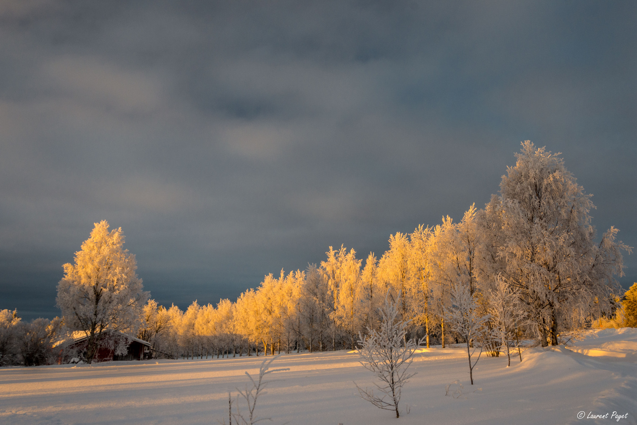 Nikon D7200 sample photo. Sunrise photography