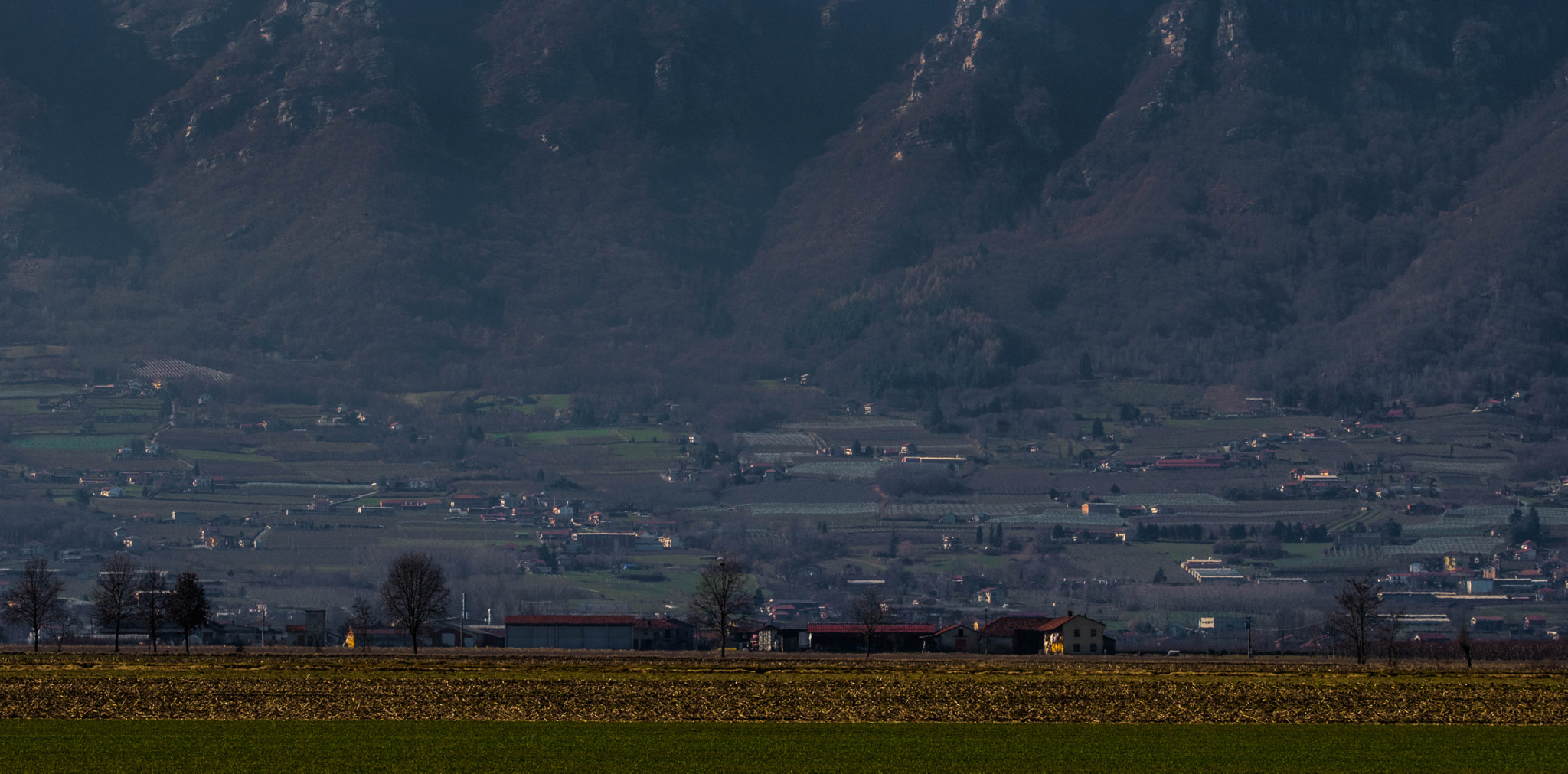 Sigma 105mm F2.8 EX DG OS HSM sample photo. No sky photography