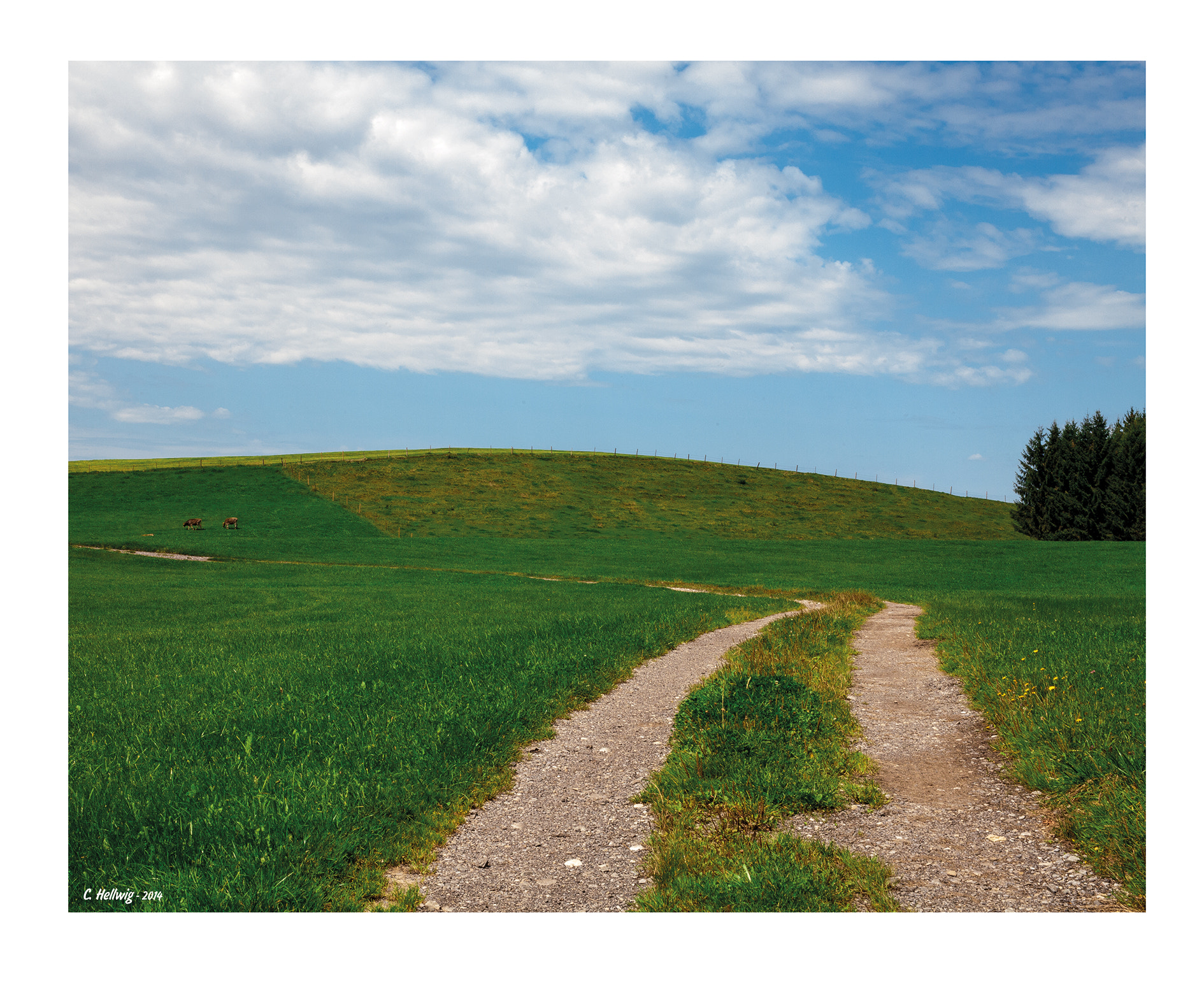 EF75-300mm f/4-5.6 sample photo. Landschaft mit kühen photography