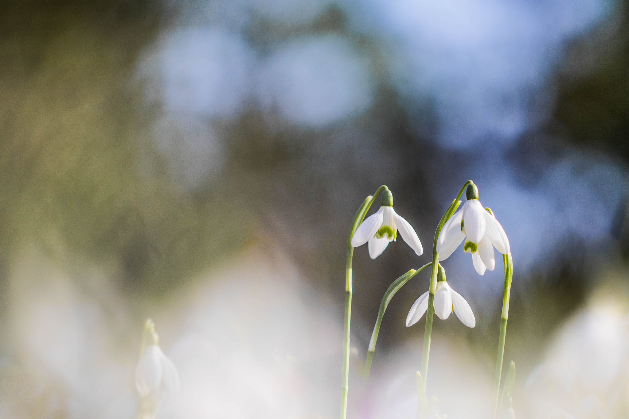 Canon EF 100mm F2.8L Macro IS USM sample photo. A nice little family photography