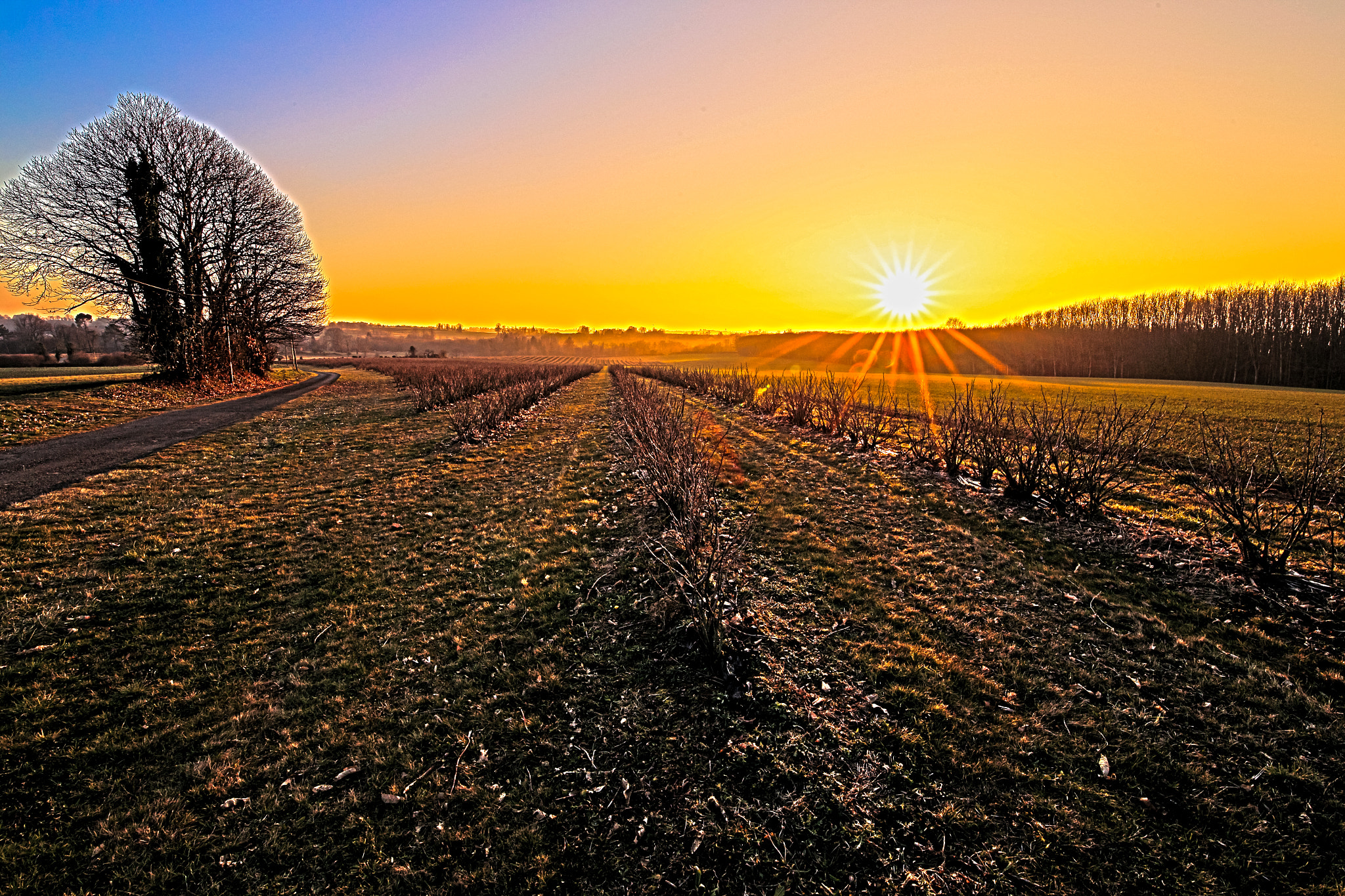 Canon EOS 6D + Canon EF 300mm f/2.8L sample photo. Sunset hdr photography