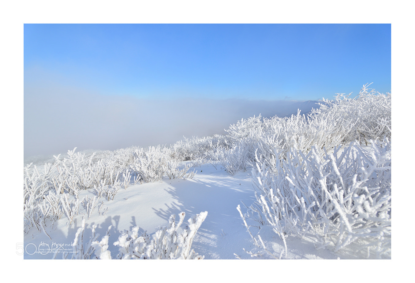 Nikon D800 sample photo. Winter morning photography