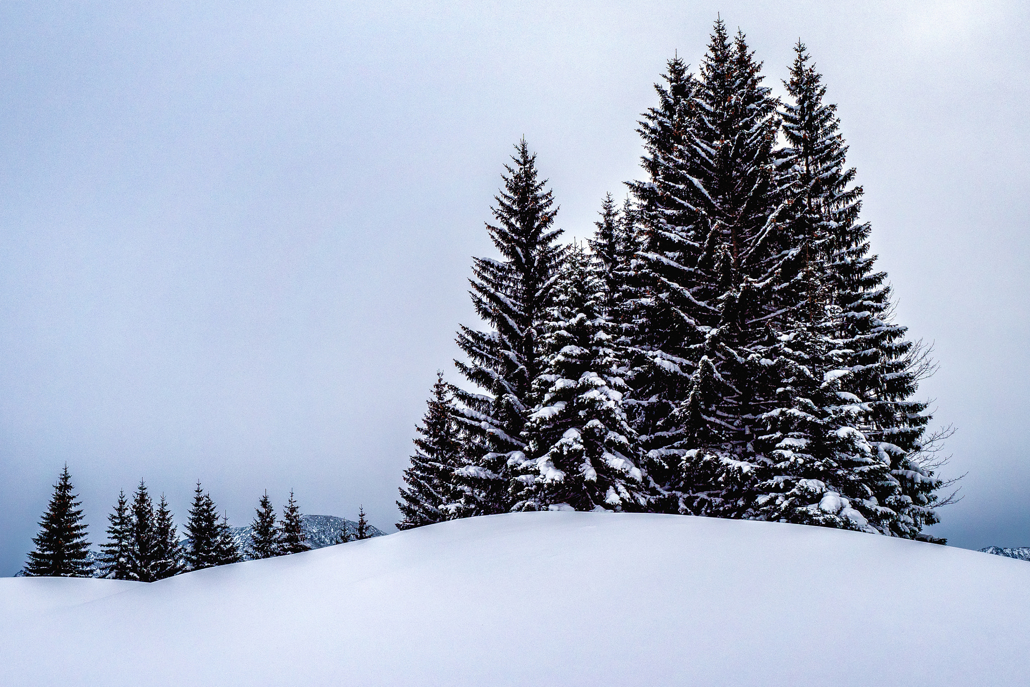 Panasonic Lumix DMC-GX8 + Olympus M.Zuiko Digital ED 12-40mm F2.8 Pro sample photo. Winterwald photography