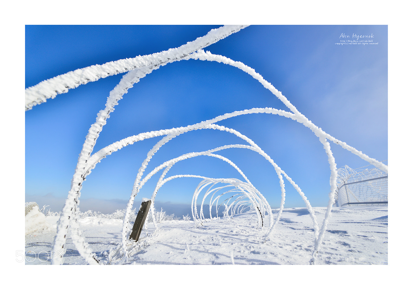 Nikon D800 sample photo. Barbed wire-entanglement photography