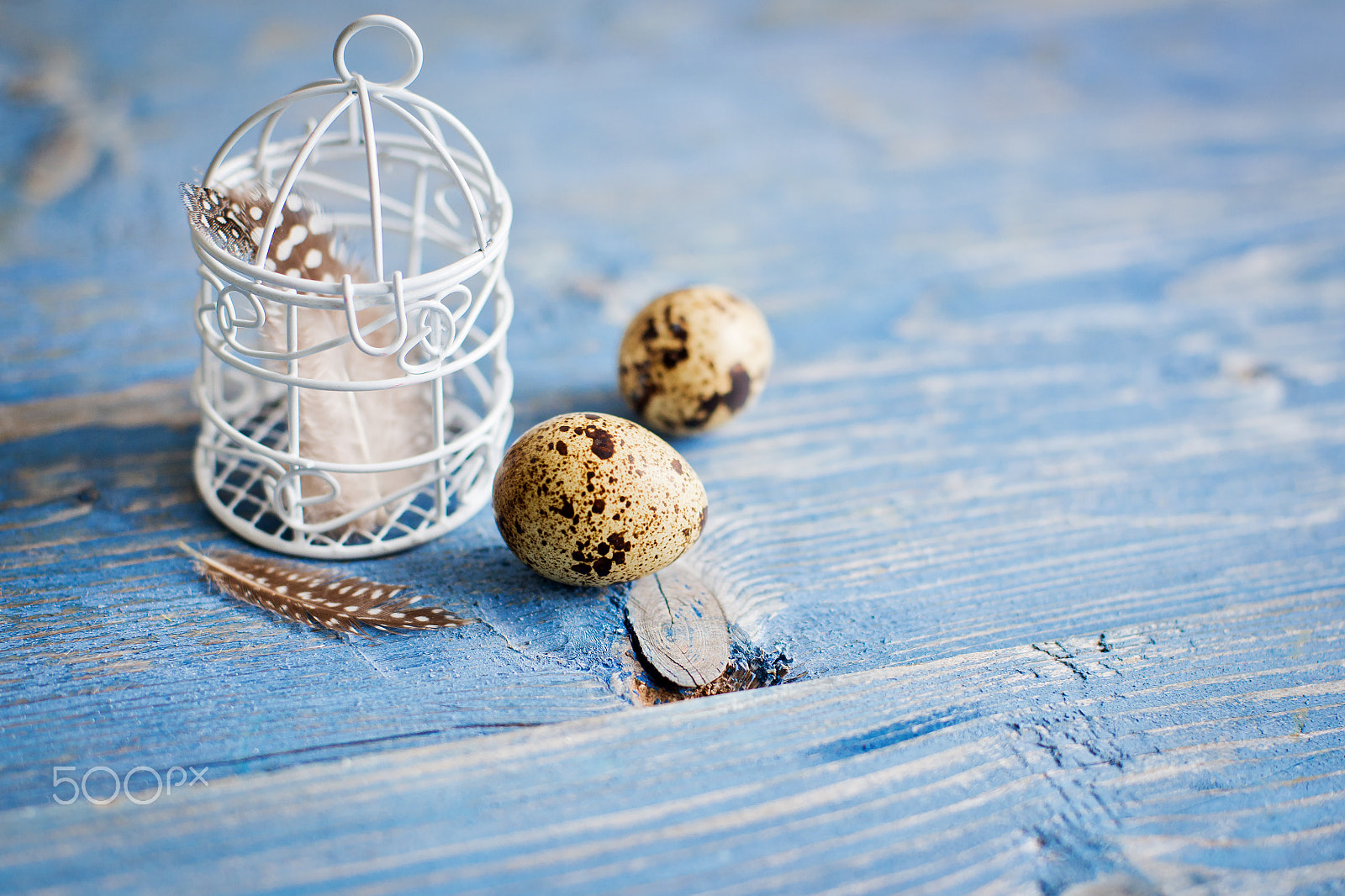 Nikon D800 sample photo. Quail eggs on a blue wooden background photography