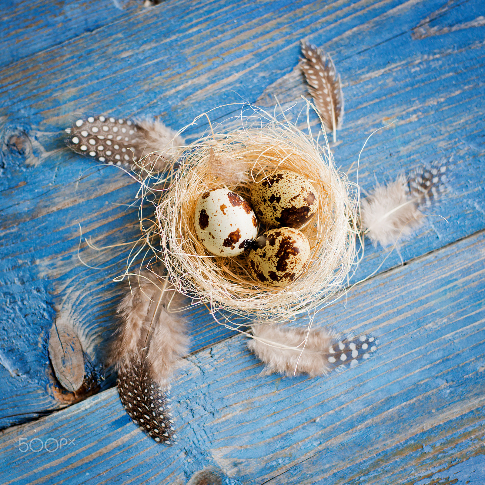 Nikon D800 sample photo. Quail eggs on a blue wooden background photography