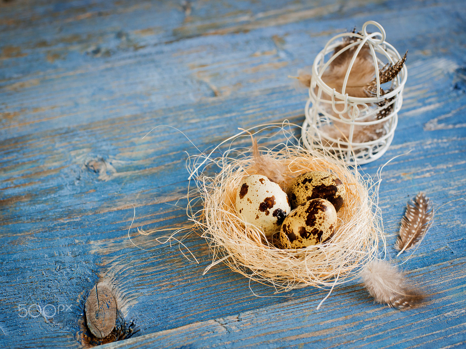 Nikon D800 + Nikon AF Nikkor 50mm F1.4D sample photo. Quail eggs on a blue wooden background photography