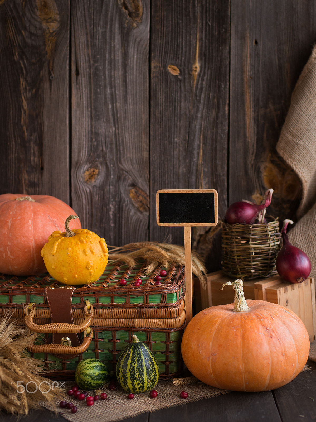 Nikon D800 sample photo. Still life of pumpkins photography