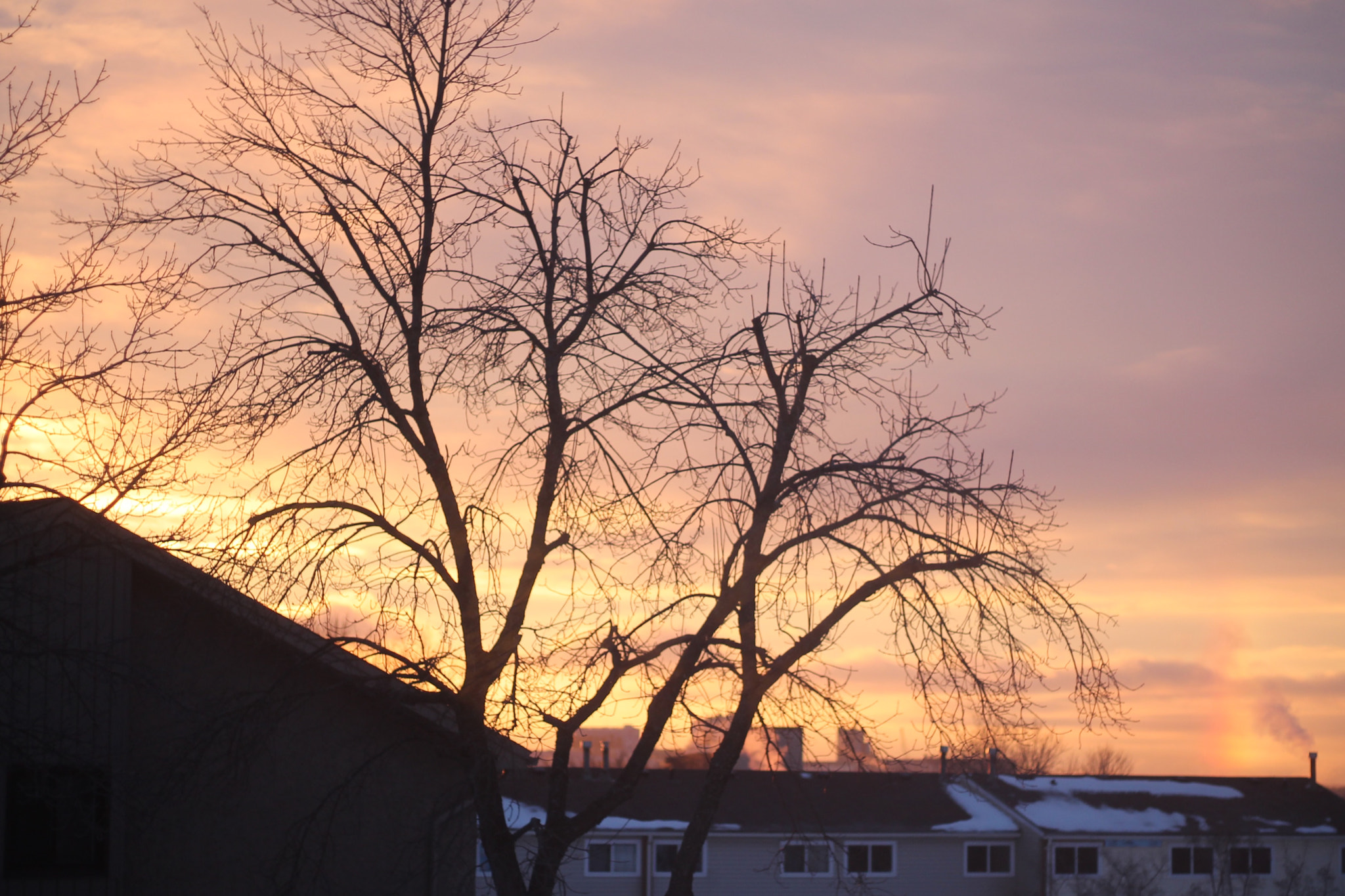 Canon EOS 1100D (EOS Rebel T3 / EOS Kiss X50) sample photo. The dawn photography