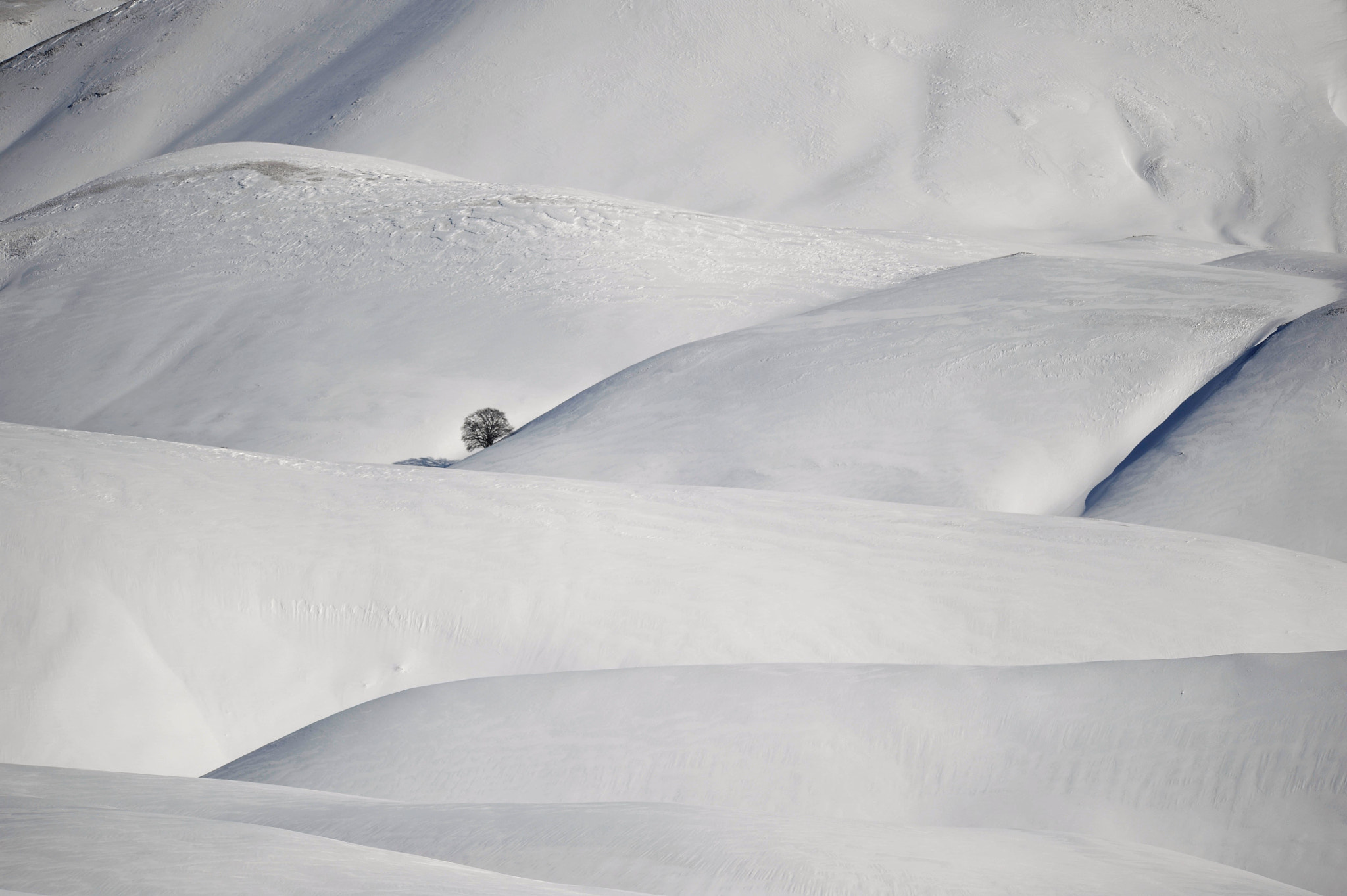 Sigma 120-400mm F4.5-5.6 DG OS HSM sample photo. Cool lines photography