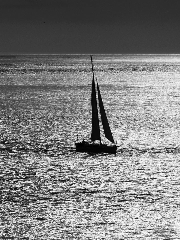 Olympus OM-D E-M5 II sample photo. Sailing photography